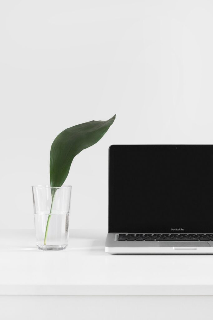 photo of a large green leaf in a glass of water and a MacBook Pro to illustrate sustainability in the workplace.